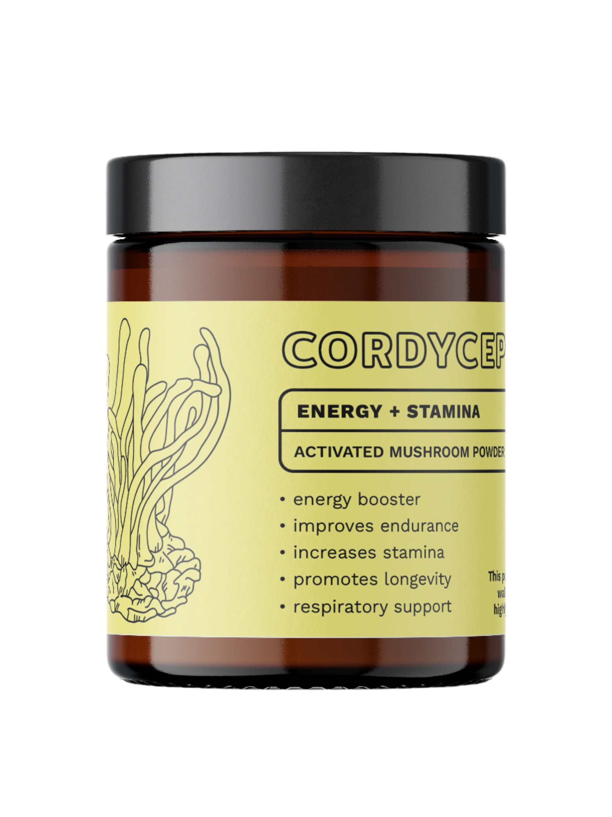 Cordyceps (Activated Mushroom Powder)